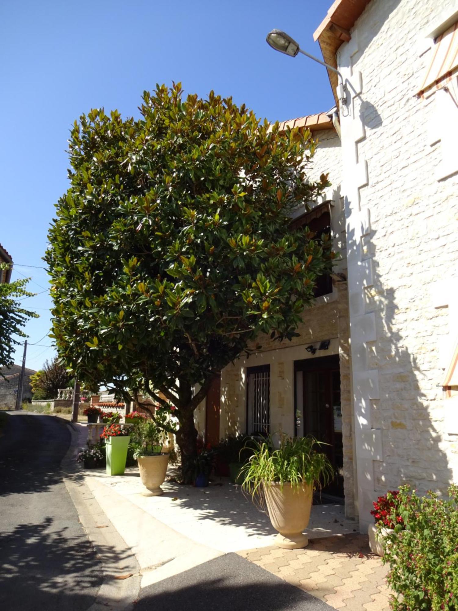 Hotel Aux Orangers Luxé Exterior foto